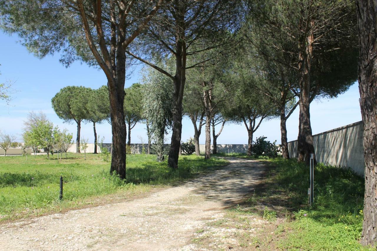 B&B Villa 16 Pini Lecce Dış mekan fotoğraf